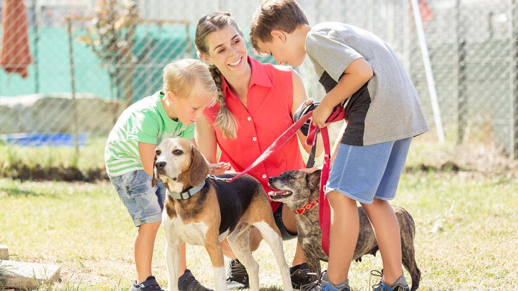 random acts of kindness day: kids with animals