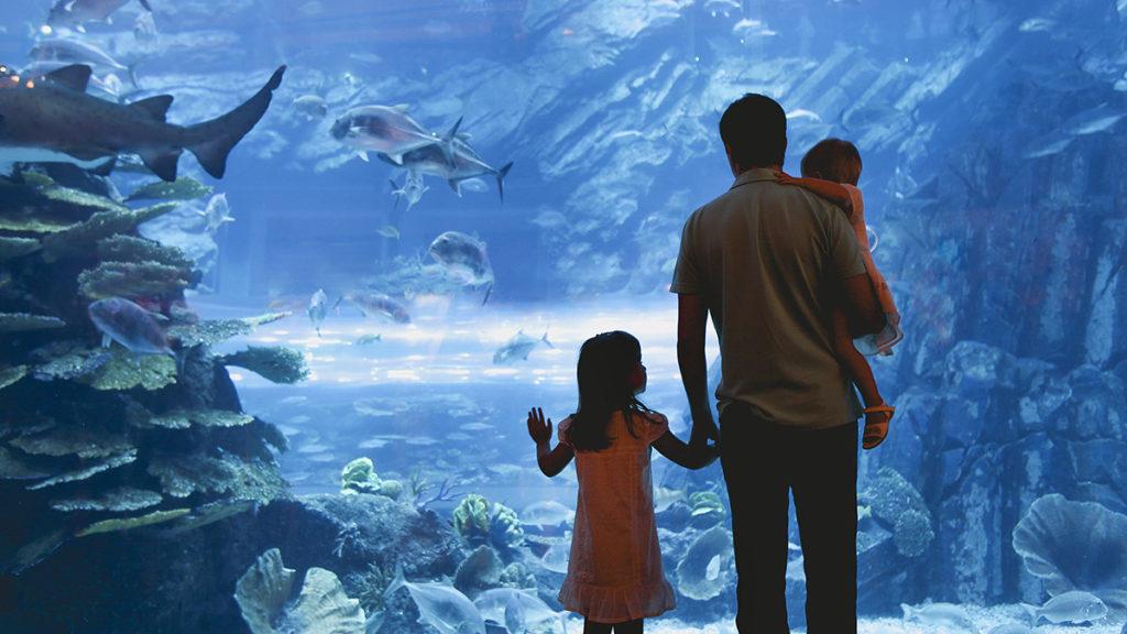 winter bucket list ideas: family at aquarium