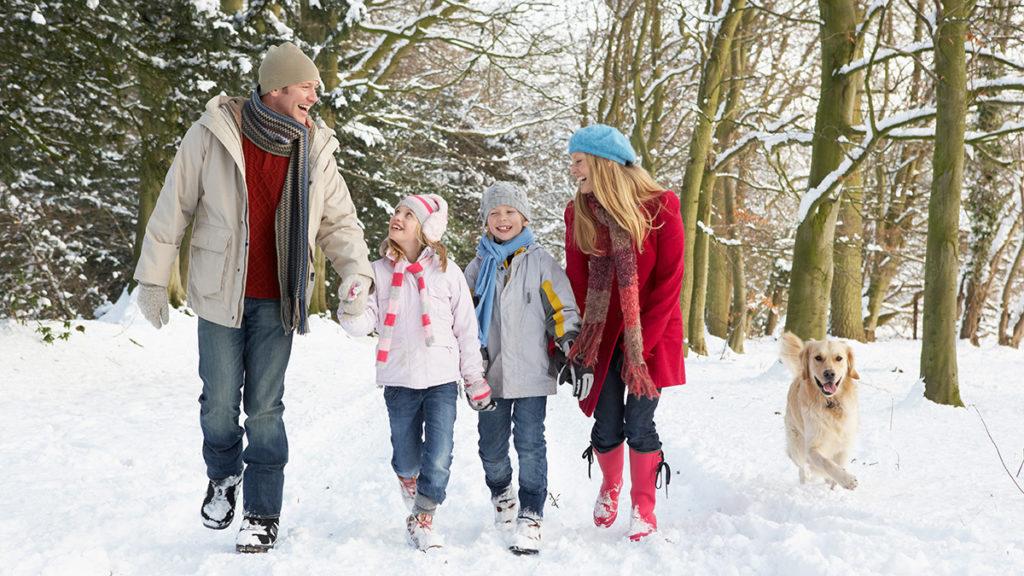 winter bucket list ideas: family taking a winter walk