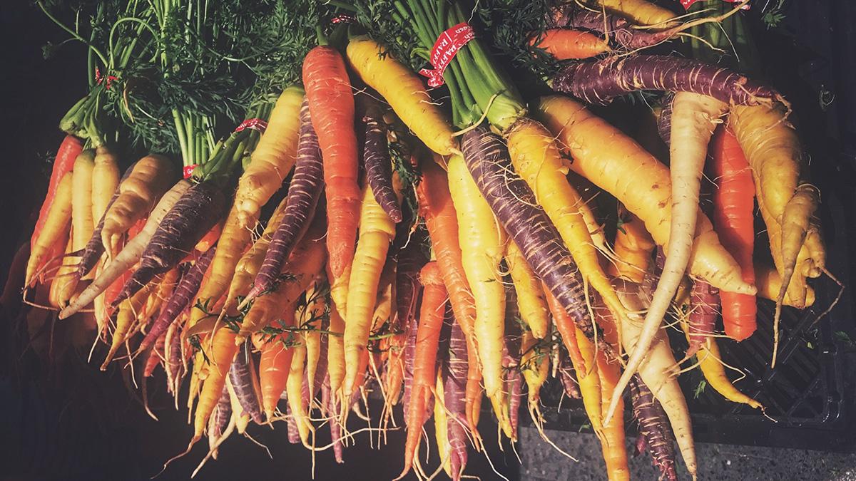 history of carrots: different colored carrots
