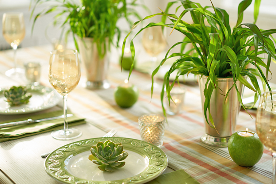 Photo of succulent on tablescape