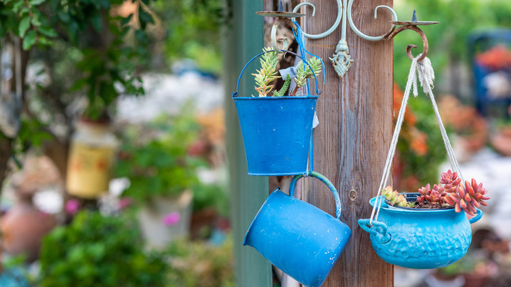 Photo of a pail used for a plant