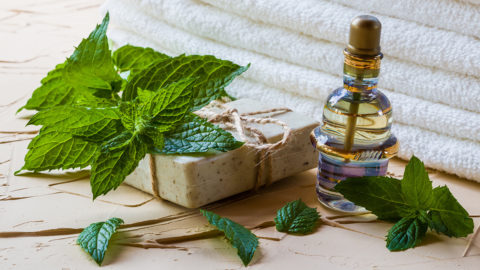 The History of Peppermint: Historical Remedies, Health Benefits, and More