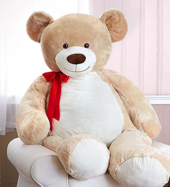 Valentines Day Gifts for New Couples with stuffed bear