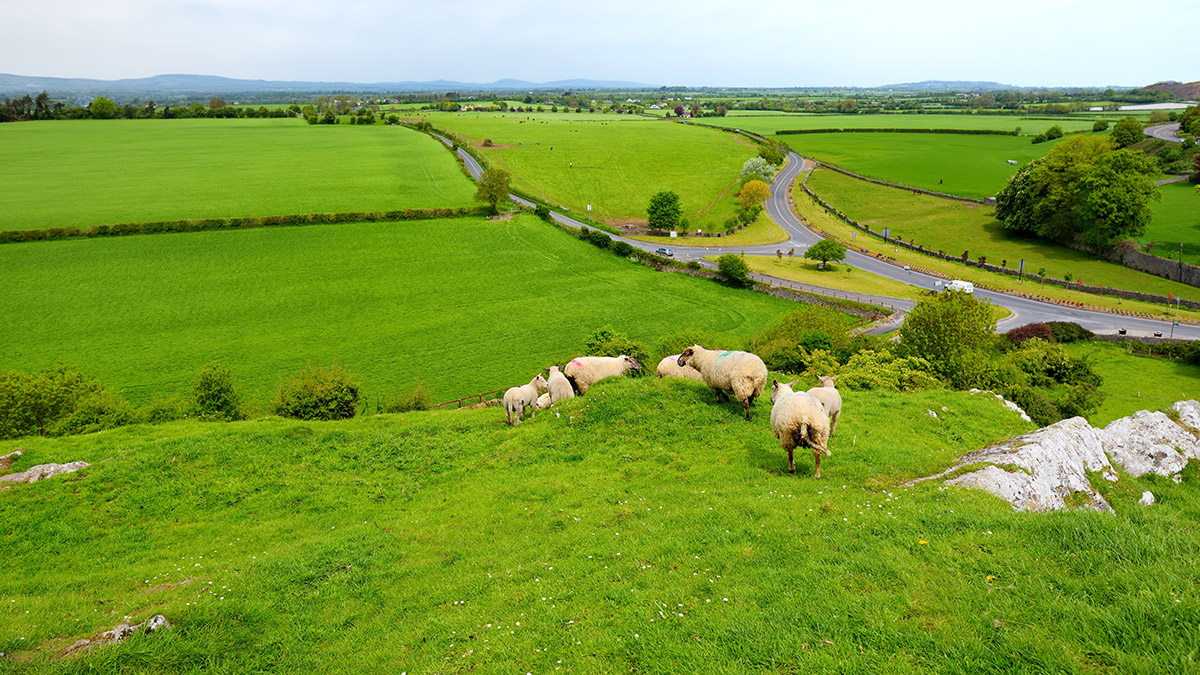 https://www.cheryls.com/blog/wp content/uploads///irish countryside