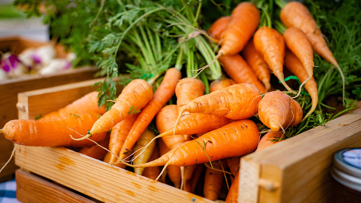 The Origin and History of Carrots | Scrumptious Bites
