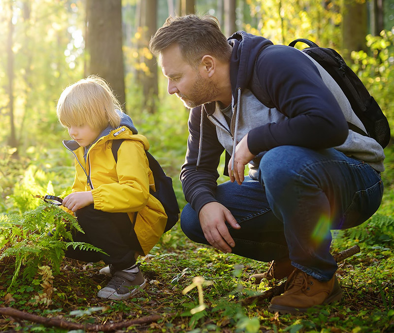 a photo of spring flowers: father and son on a hike