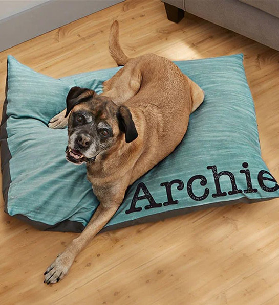 https://www.cheryls.com/blog/wp content/uploads///personalized dog bed