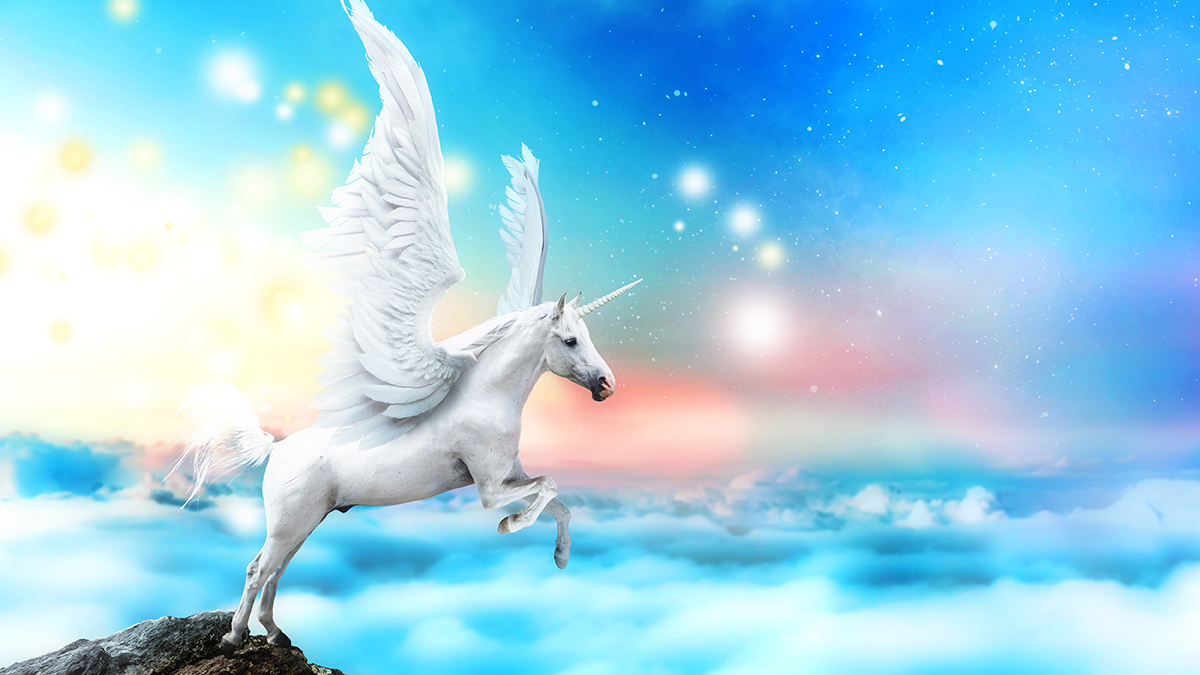 10 Magical Facts About Unicorns