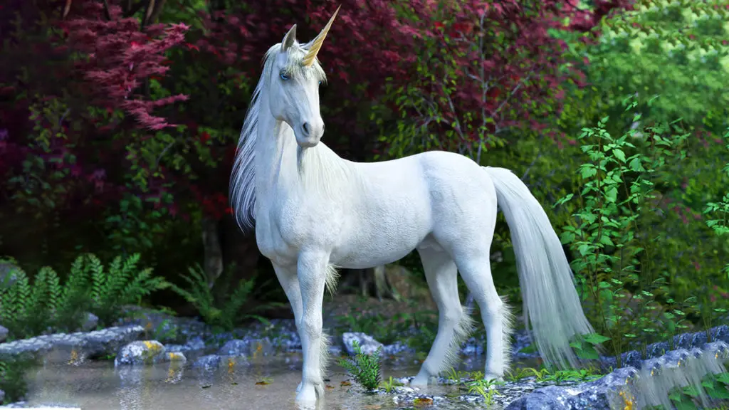 photo of facts about unicorns with a unicorn posing in an enchanted forest