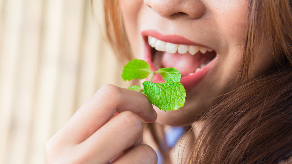 https://www.cheryls.com/blog/wp content/uploads///history of peppermint woman eating mint leaves